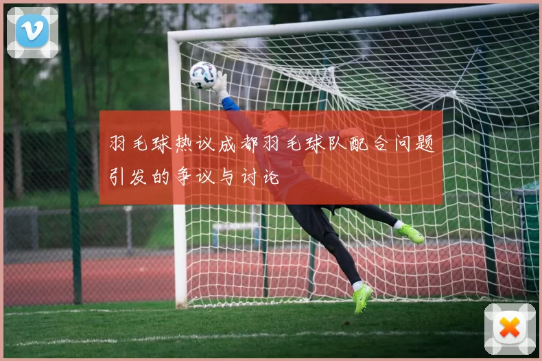 羽毛球热议成都羽毛球队配合问题引发的争议与讨论