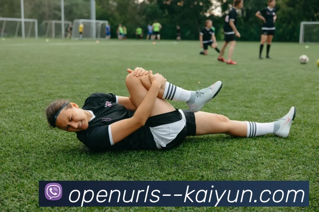 kaiyunAPP 高清赛事图